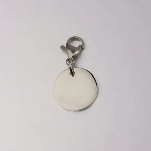 Porte-clés rond en acier inoxydable de 8-30 mm, personnalisable, gravure laser DIY, avec fermoir mousqueton, pour animaux de compagnie, vente en gros - Product Image 3