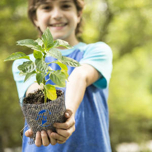 <span class=keywords><strong>Hestia</strong></span> intrecciata argento in acciaio inossidabile coperture da giardino durevoli protezioni portatili rete copertura vegetale in maglia metallica tasca per giardini - Product Image 5