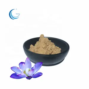 Pure Natural Organic Blue Lotus Flower Extract Powder 10:1 20:1