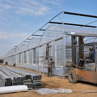 Solution clé en main de serre commerciale multi-voûtes en film pour la culture hydroponique de tomates, laitues et fraises