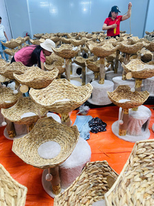 ของเล่นไม้สำหรับสุนัข กาแฟวู้ด ช่วยทำความสะอาดฟัน สำหรับสุนัขขนาดกลางถึงใหญ่ รับผลิตแบบ OEM ODM พร้อมติดฉลากส่วนตัว - Product Image 4