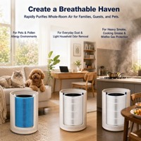 Penggantian Filter Pembersih Udara Premium untuk Blue Pure 311i+ Max Komposit Partikel dan Inti Filter Karbon Aktif