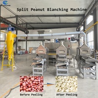 Machine à découper et blanchir les cacahuètes SUS304 1000-2000 kg/h avec contrôle PLC, décortiqueuse à air pour le traitement des noix