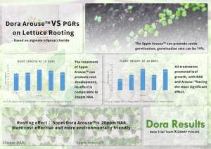 Poudre organique d'hormone d'enracinement d'AOS-Ecocert pour la vigne, <span class=keywords><strong>fraise</strong></span>, concombre cultivant - Product Image 4