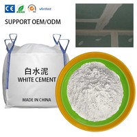 Ciment Blanc de Haute Qualité Personnalisable en Gros – Direct Usine