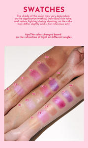 Professionnel de haute qualité végétalien paillettes marque privée étanche maquillage des lèvres rouge à lèvres en gros mat liquide rouge à lèvres - Product Image 6