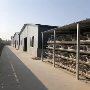 Precio DE FÁBRICA DE China, casas prefabricadas, edificio industrial de acero con potencial de certificación Ce - Product Image 4