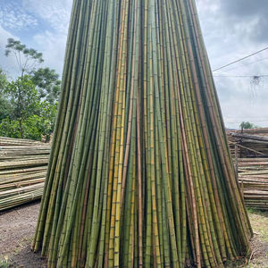 Soportes Ecológicos para Plantas, Estacas de Bambú Natural, Cañas de Bambú para Viñedos y Agricultura, Soporte para Tomates y Flores - Product Image 1