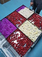 Équipement de lyophilisation, pompe à vide sans huile, haute productivité, transformation alimentaire, stock en Chine