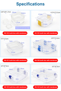Contenitori Trasparenti per Faccette Dentali Piccoli/Grandi con Espositore a Pellicola - Product Image 6