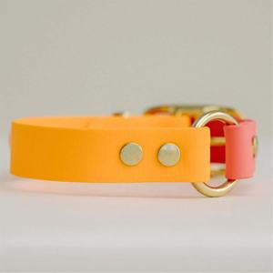 2023 Neue Haustierhalsbänder und Leinen, Farbenfrohe Personalisierte Wasserdichte PVC-Hundehalsbänder für Kleine Hunde - Product Image 4