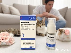 OEM <span class=keywords><strong>Spray</strong></span> démêlant naturel pour animaux de compagnie Brume de sommeil naturelle Lavande Pet Calm Aromathérapie <span class=keywords><strong>Spray</strong></span> Chien Chat Cheval Pet Huile essentielle <span class=keywords><strong>Spray</strong></span> - Product Image 5