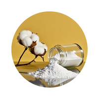 Éther de cellulose de méthyle à haute viscosité (HPMC 200000 Mpa.s) de qualité industrielle, mortier de béton anticorrosion