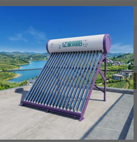 Venta Directa de Calentador de Agua Solar y Eléctrico de Tubos Evacuados de 200L, Independiente, de Conexión Directa, para Uso Doméstico, Directo de Fábrica