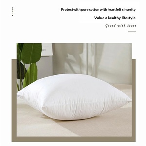 Bán Buôn Hình Chữ Nhật Hình Học Dệt 100% Polyester Tùy Chỉnh Kích Thước Ném Gối Đệm Chèn - Product Image 6