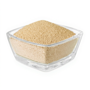 Premium High Purity Yeast <b>Protein</b> <b>Isolate</b> <b>Powder</b> (100% Pure) FitTree International 24-Month Shelf Life for Vegan <b>Protein</b> - Product Image 1