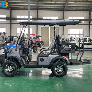 Carrito de Golf Eléctrico Robetaa Chino Todoterreno de 4 Plazas, Batería de Litio de 48v, Homologado para Calle, en Venta - Product Image 3