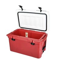 Glacière isotherme rotomoulée en PE de 45 qt, portable, étanche, pour pêche et boissons en extérieur