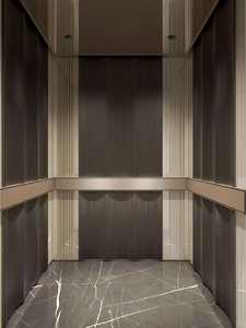 Ascenseur OTIS, usine d'ascenseurs, ajout d'un ascenseur pour les bâtiments anciens, maisons auto-construites, ascenseur résidentiel, ascenseur domestique - Product Image 2