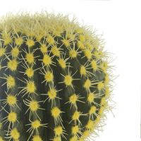 CHUANGFA 39cm Cactus Artificiel Vert Moderne Petite Plante Décorative en Mousse Plastique pour Maison Jardin Mariage Fête des Mères Cadeau