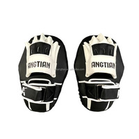 ANGTIAN Fournisseur Personnalisé Classique Poids Léger Entraînement Air Thai Pads Fight Gear Impact MMA Boxe Air Thai Pads