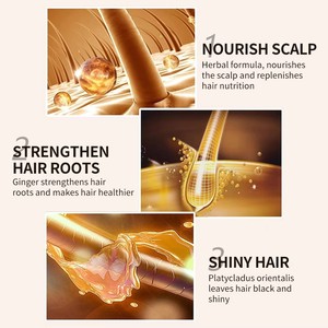 Champú <span class=keywords><strong>de</strong></span> Jengibre OEM <span class=keywords><strong>para</strong></span> Control <span class=keywords><strong>de</strong></span> Caspa y Grasa, Anticaída, Crecimiento del Cabello, Hidratante, Reparador y Protector del Cuero Cabelludo - Product Image 6