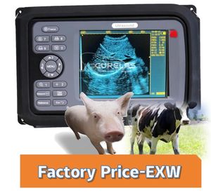 Pequeno Animal Veterinário Ultrassom Scanner - 7.5MHz Sonda Linear para Gatos/Cães - Product Image 2