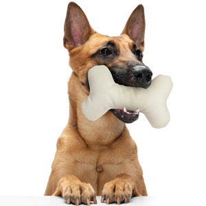 Jouet en peluche créatif en forme d'os - Bâtonnets à mâcher souples et couineurs pour chiots en dentition et jeu interactif - Product Image 3