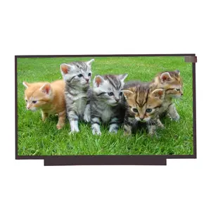 Highlight 15.6 inch High Brightness BSD156FHM-N91-1500CD 1500 nits TFT Display LCD Module for Outdoor Application