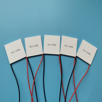Module de refroidissement thermoélectrique haute puissance 24V, refroidisseur Peltier 40x40mm TEC119906 TEC119908 TEC119910