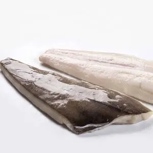 Dondurulmuş grönland Halibut fileto