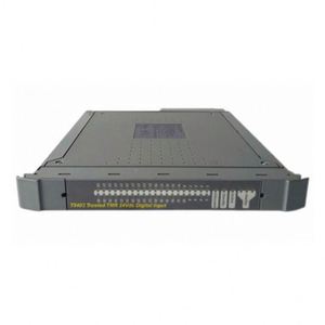 Ensemble de terminaison de sortie numérique ICS TRIPLEX T8243 - 8 canaux doubles, 24V Haute fiabilité pour le contrôle industriel - Product Image 1