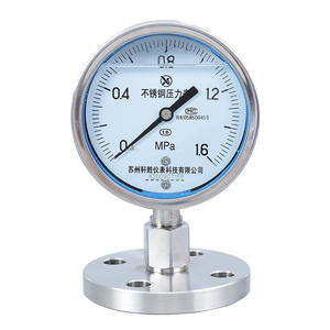 ซูโจวเซียนเซิงเกจวัดแรงดันไดอะแฟรมสแตนเลส YNTP100BF 100 มม. ทนต่อแรงกระแทก DN25 DN50 - Product Image 1