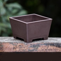 13.8cm 5.43 pouces Plastique Classique Carré Bonsaï Pots Succulent Planteur En Plastique Bonsaï Pot