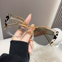 Lunettes yeux de chat photochromiques femmes hommes Anti rayons bleus lunettes grand cadre lunettes décolorées lunettes