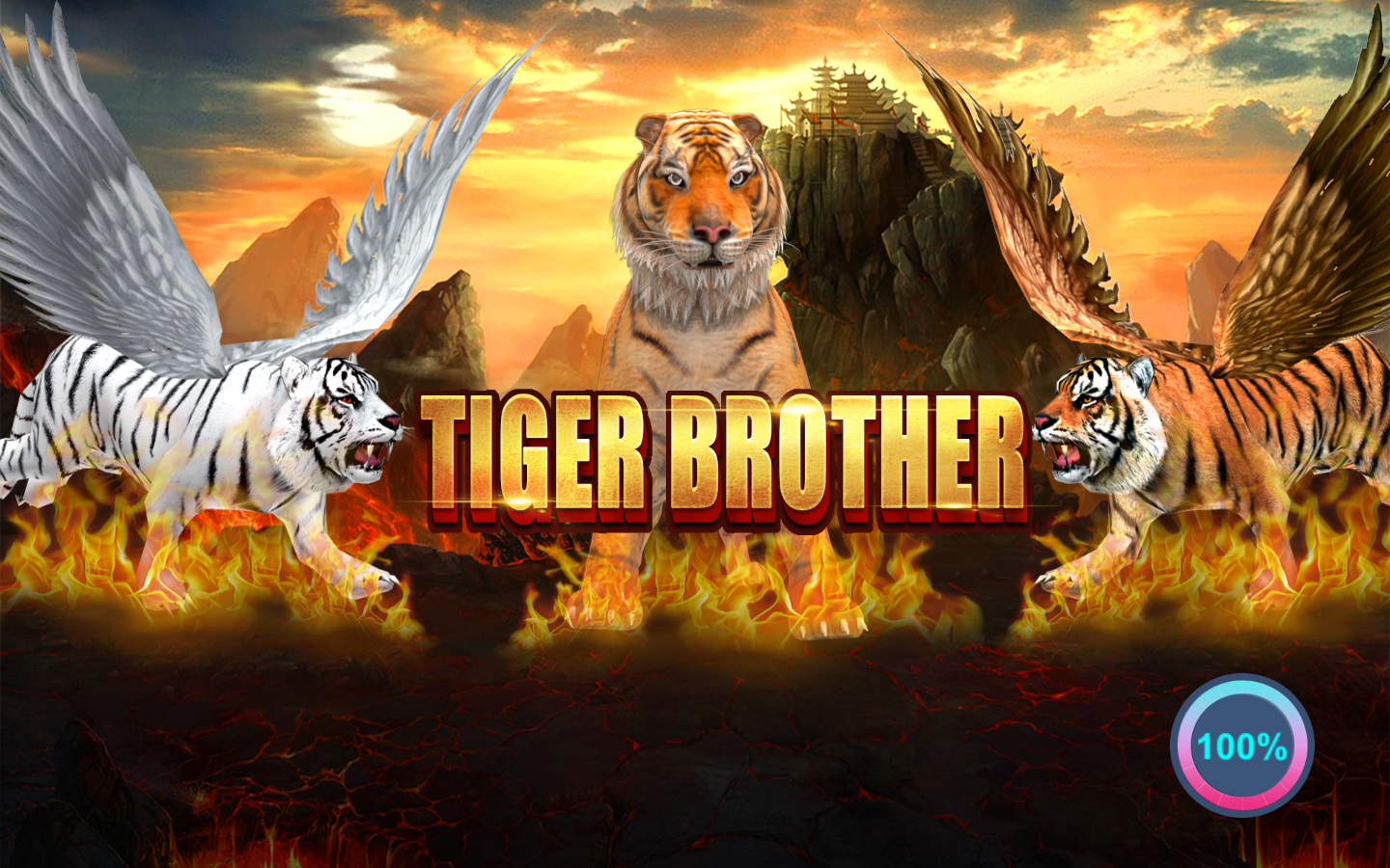 แบล็ค (ไทเกอร์โบร)