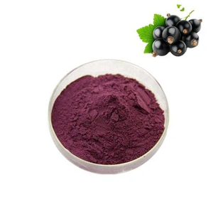 ブラックカラントエキス粉末25% アントシアン工場供給卸売 - Product Image 2