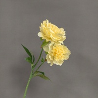 LE-482 Prix d'usine en gros, fleur artificielle en soie pivoine à 2 têtes, tige longue de 59 cm, pour centre de table de fête