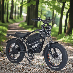 2025 almacén Ridstar Q20Mini bicicleta eléctrica Motor sin escobillas batería de litio montaña neumático grueso bicicleta eléctrica Dirt <span class=keywords><strong>E</strong></span> Bike - Product Image 5