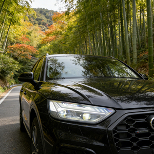 Ensemble de phares pour <span class=keywords><strong>Audi</strong></span> <span class=keywords><strong>Q5</strong></span> <span class=keywords><strong>Sportback</strong></span> Q5L FY 2021-2024, mise à niveau, style haut de gamme, phares LED automatiques, accessoires - Product Image 2