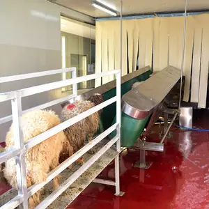 Proyecto Llave En Mano de Matadero Halal de Cordero