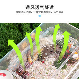 <span class=keywords><strong>Hamster</strong></span> Aménagement Paysager Cage Golden <span class=keywords><strong>Hamster</strong></span> 50 Basic Plateau En Plastique Écologique <span class=keywords><strong>Extra</strong></span> <span class=keywords><strong>Large</strong></span> Espace Acrylique Panoramique Transparent Solide - Product Image 2