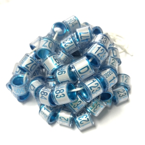 Postduif ringen clip 2020 - Product Image 2