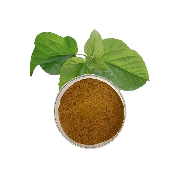 Ekstrak daun murbei kualitas tinggi 20% Total Flavo bubuk ekstrak daun hijau