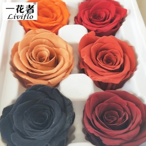 Yunnan Provence Têtes de Roses Conservées Pour Toujours Rose Fleurs Immortelles en gros 4-5 cm - Product Image 2