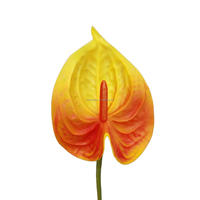 Fleur d'Anthurium à tige unique en PU, grande feuille, Lys de la Paix Rouge, 65 cm, avec bractée jaune flamant, orange et rouge, pour décoration intérieure, remise de diplôme, Halloween