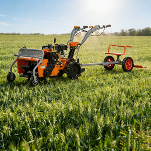 Désherbeuse manuelle pour ferme, débroussailleuse à roues, coupe-herbe diesel portatif - Product Image 1