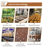 Professionele Cacaoboter Maken Machine Cacaoboon Productielijn Poederverwerkingslijn Natuurlijk Cacaoboon Poeder