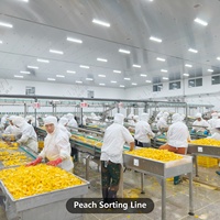 Ligne de mise en conserve automatique de fruits LWT avec stérilisateur alimentaire, capacité de 10 tonnes par heure, palettiseur rotatif en acier inoxydable et retourneur de caisses