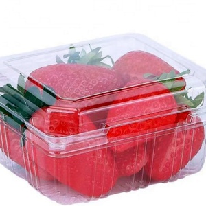 Çilek karpuz meyve salata sandviç Hamburger bebek maması temizle kapaklı gıda sınıfı PET çevre dostu özelleştirilebilir - Product Image 1